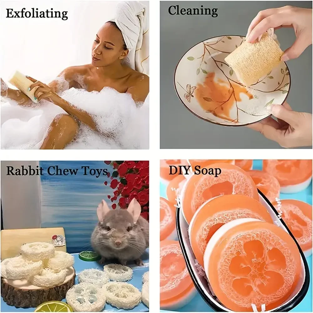 Natural Loofah Body Scrubber
