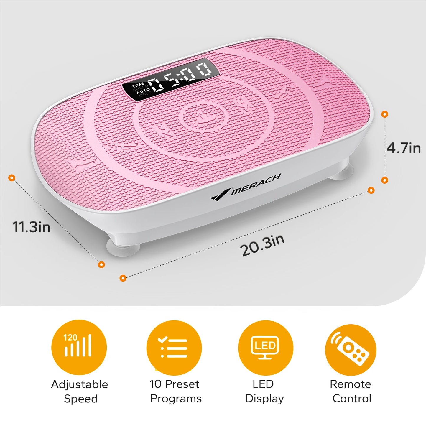 Vibration Plate Full Body Workout