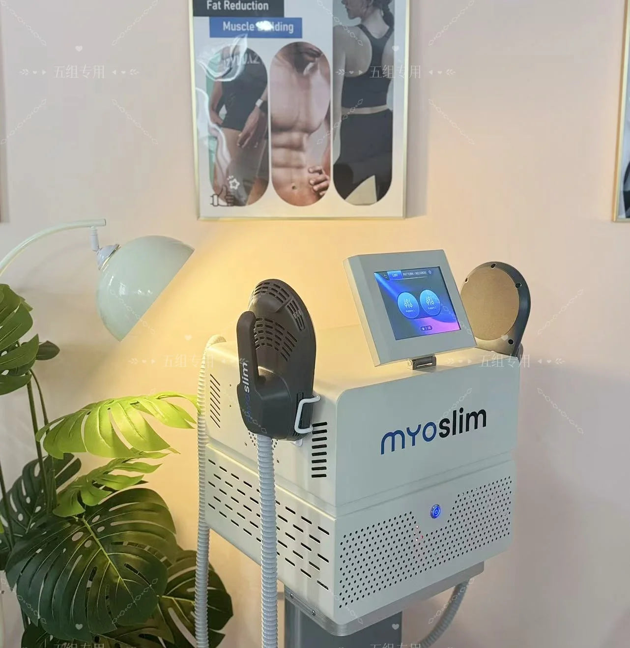 Electromagnetic Body Shaper