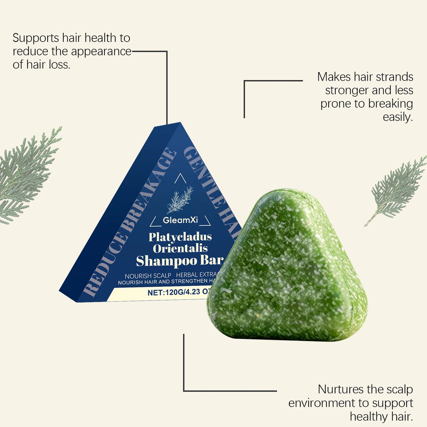 Platycladus Shampoo Bar
