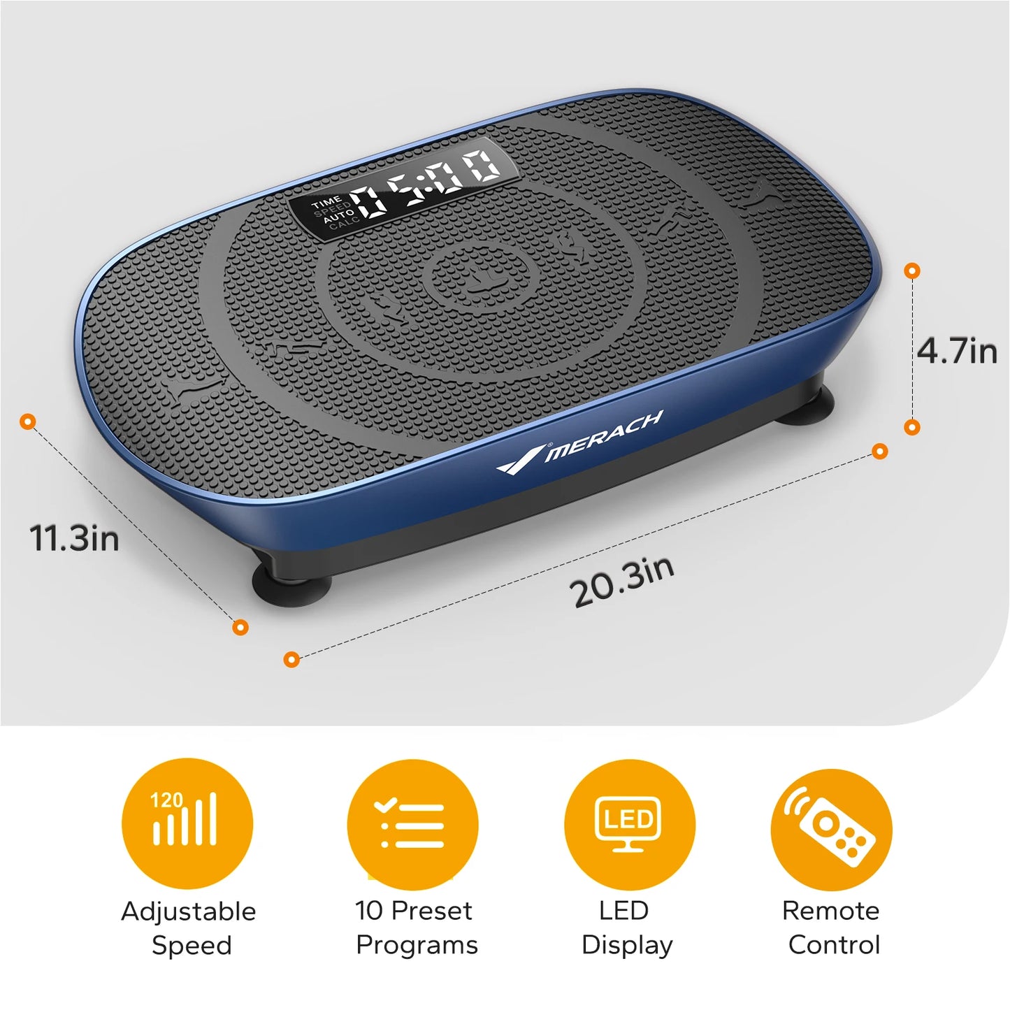 Vibration Plate Full Body Workout