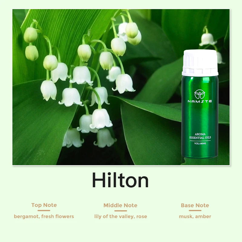 Electric Aromatic Diffuser