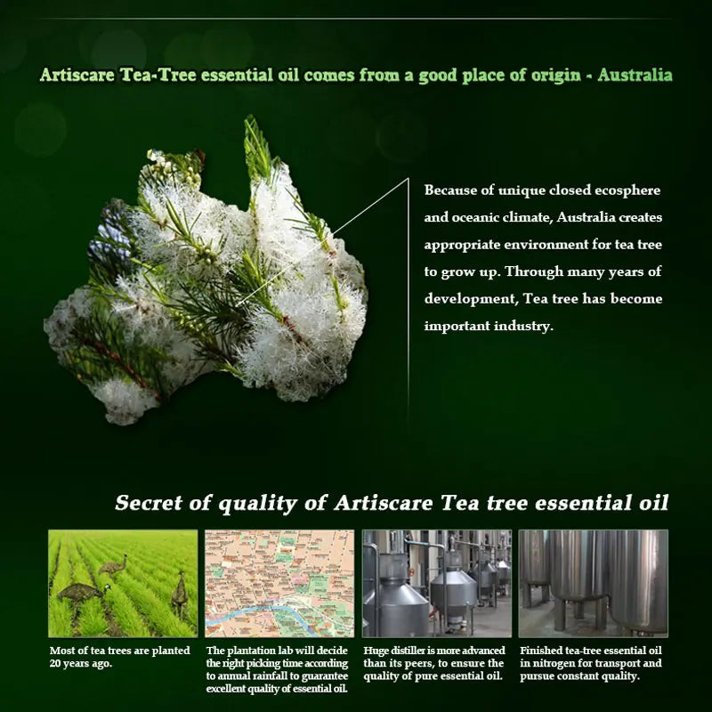 Pure Tea Tree Essential Oil