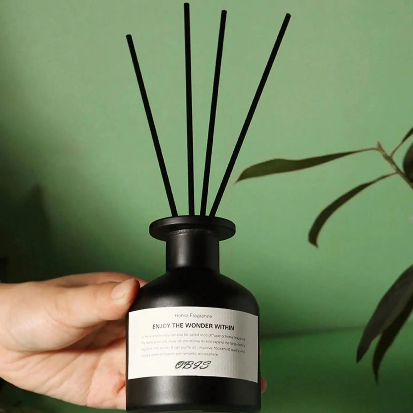 Reed Diffuser