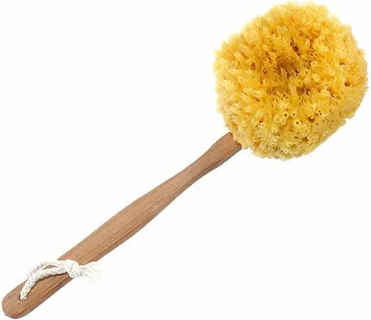 Long Handled Back Scrubber