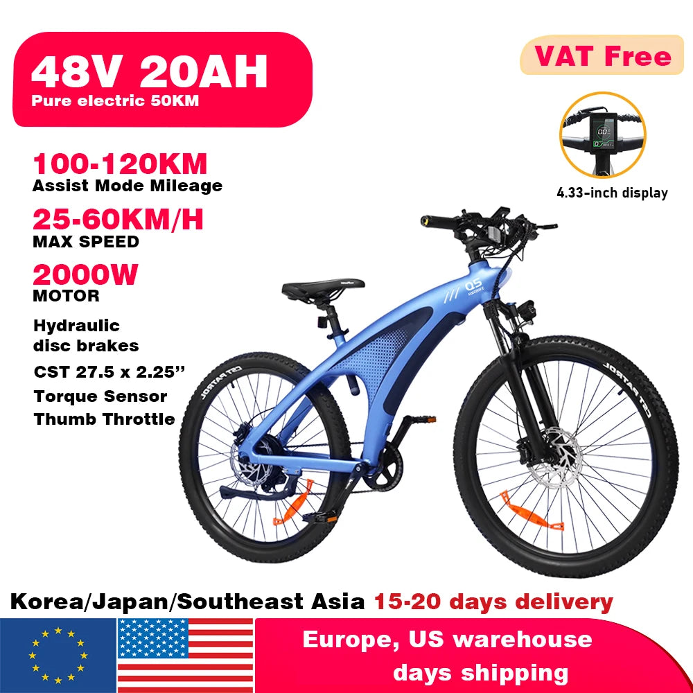 2000W Adults Electric Bicycle