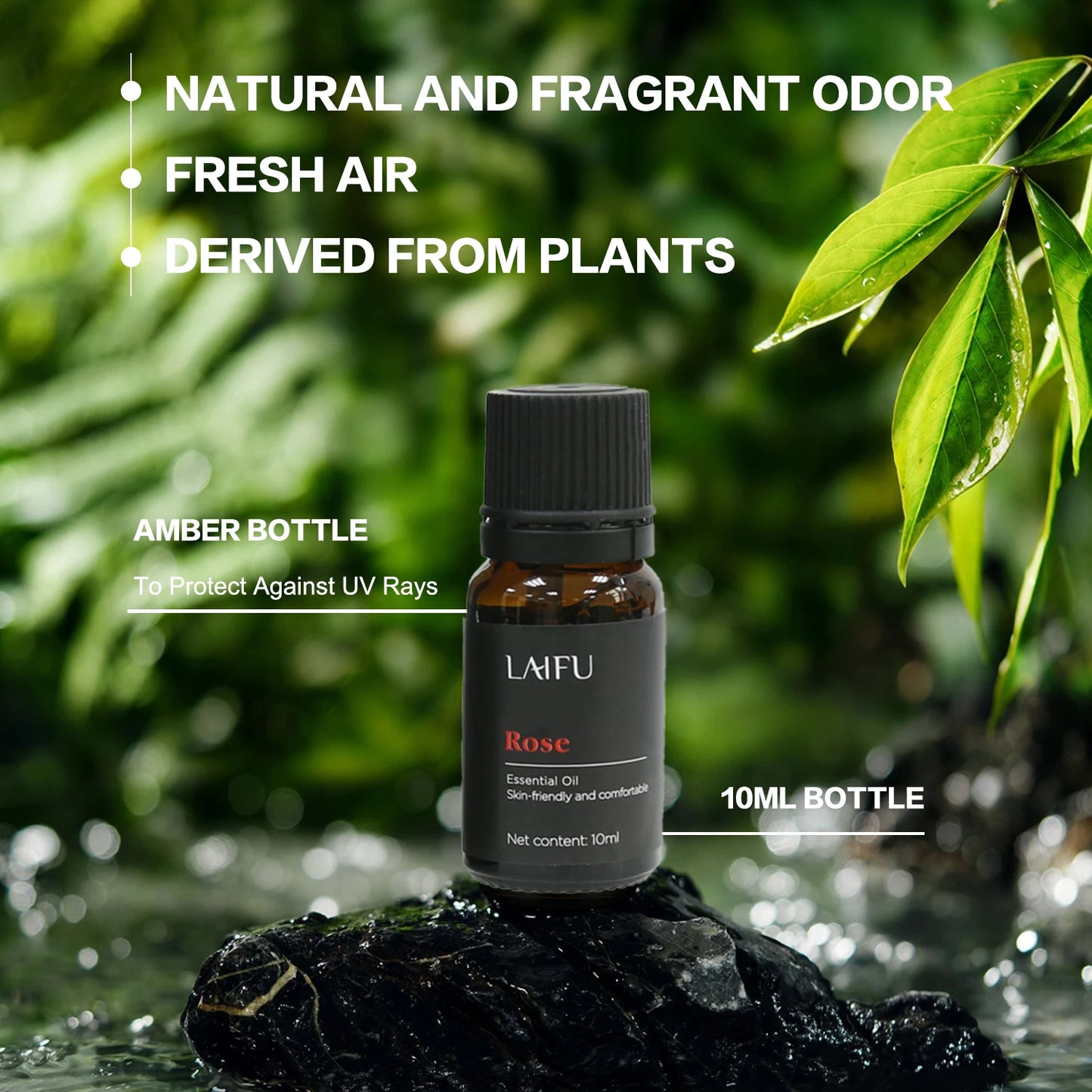 Aromatherapy Essential Oil Set