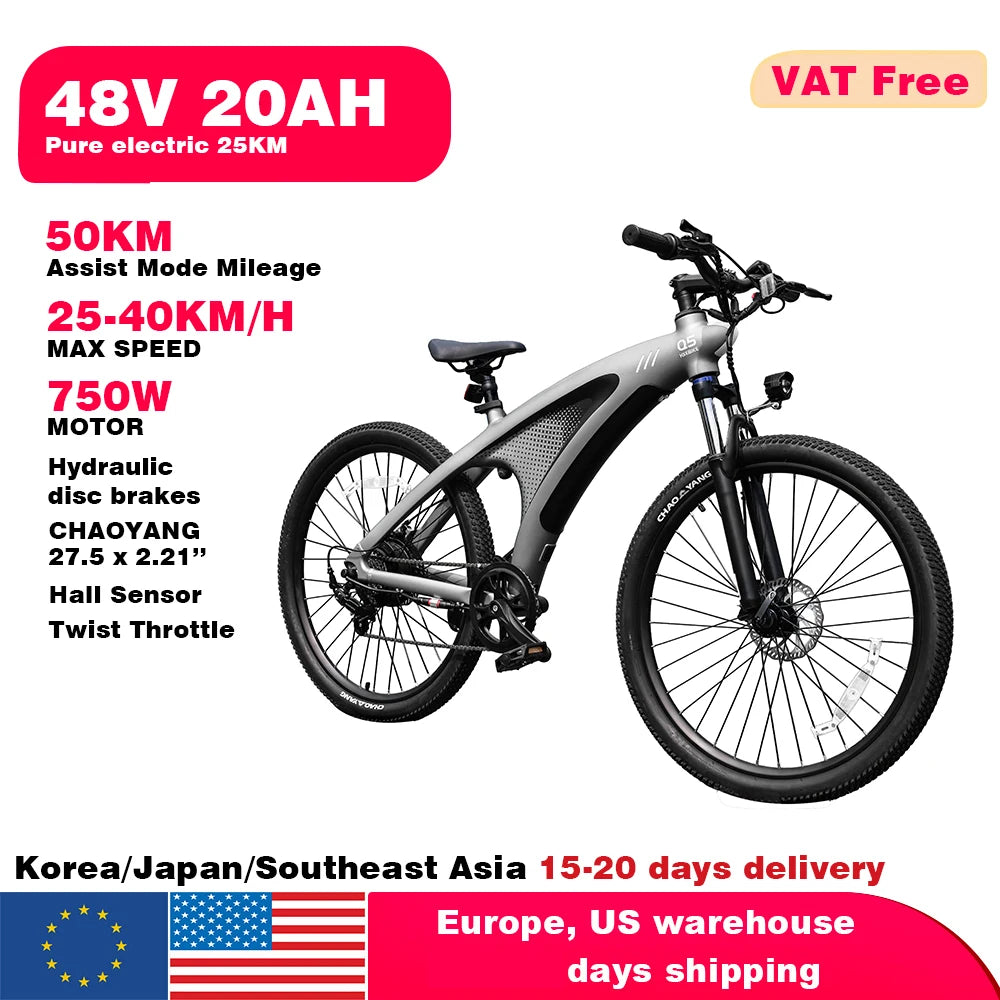 2000W Adults Electric Bicycle