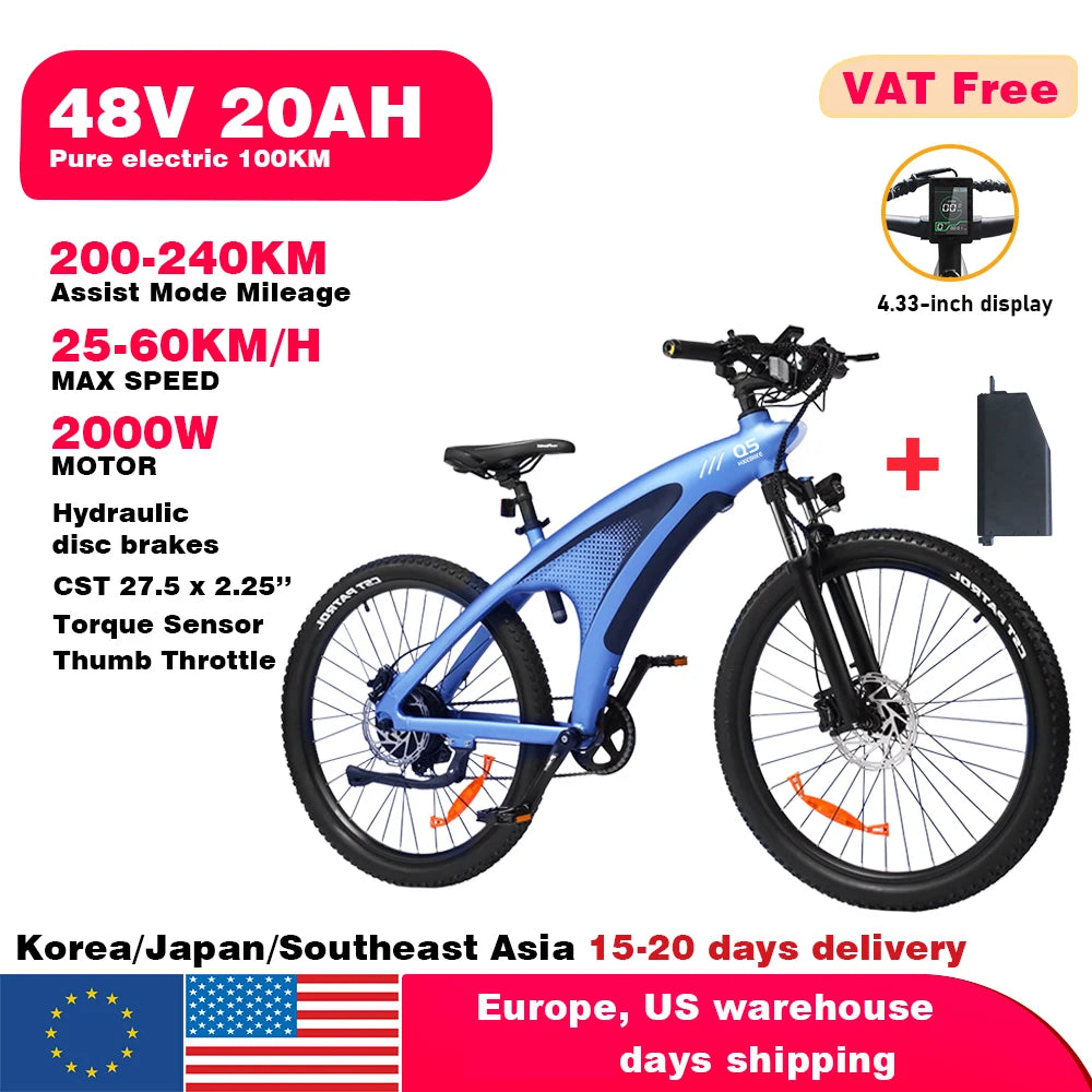 2000W Adults Electric Bicycle