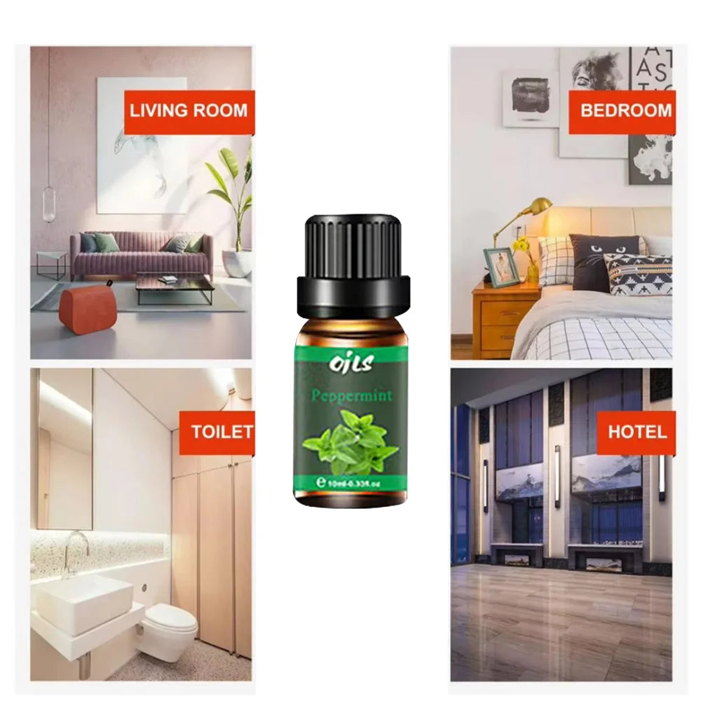Essential Oil Kit With Diffuser