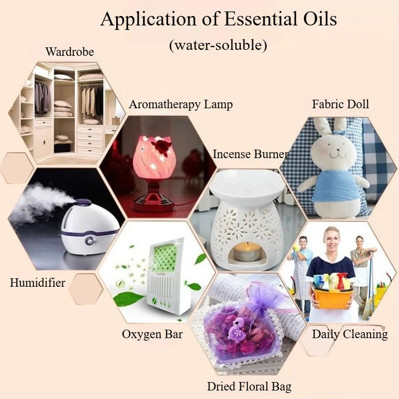 12 pcs Essential Oils Set