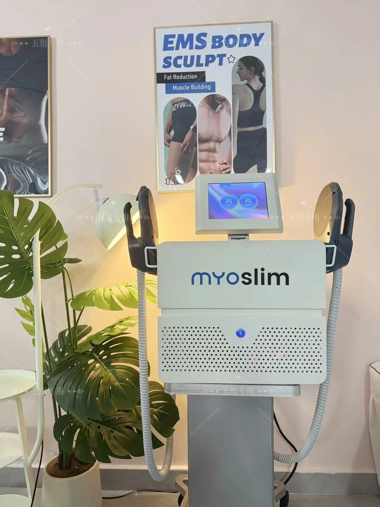 Electromagnetic Body Shaper