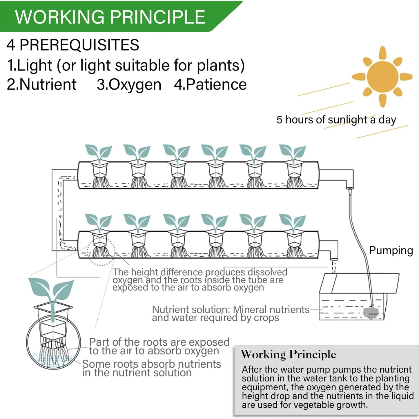 Hydroponics Growing System