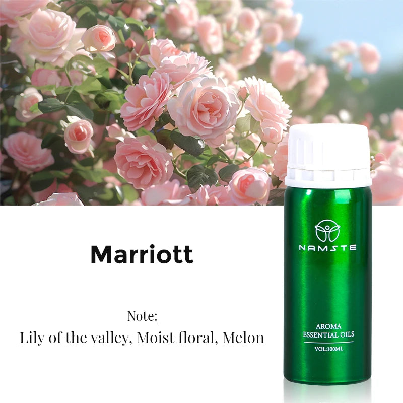 Electric Aromatic Diffuser