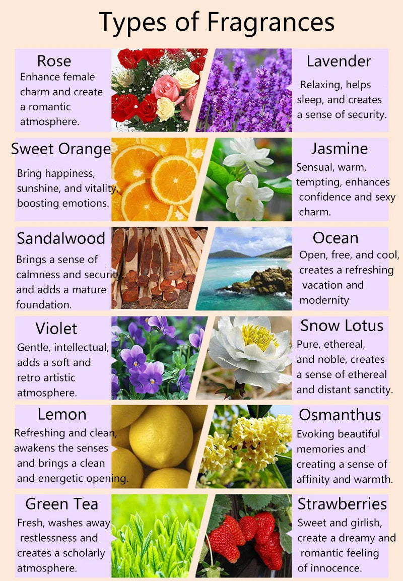 12 pcs Essential Oils Set