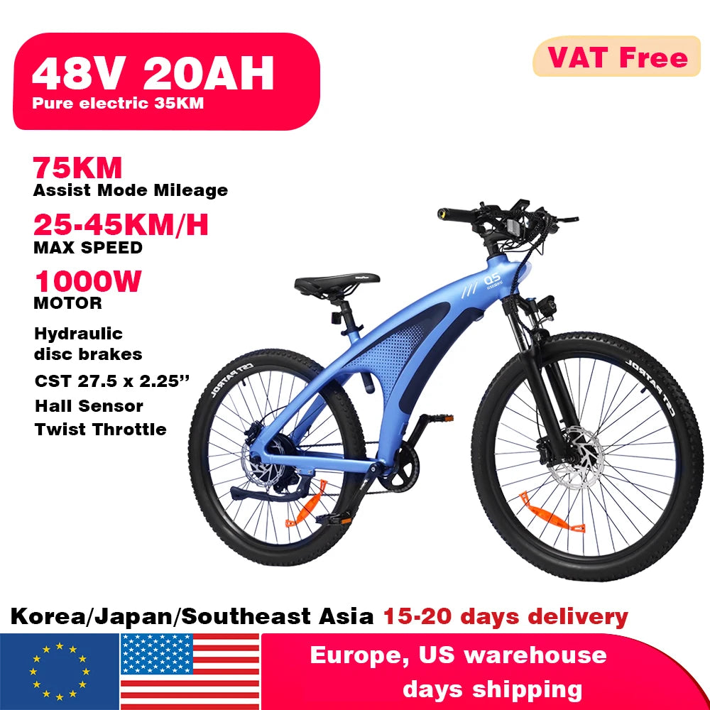 2000W Adults Electric Bicycle