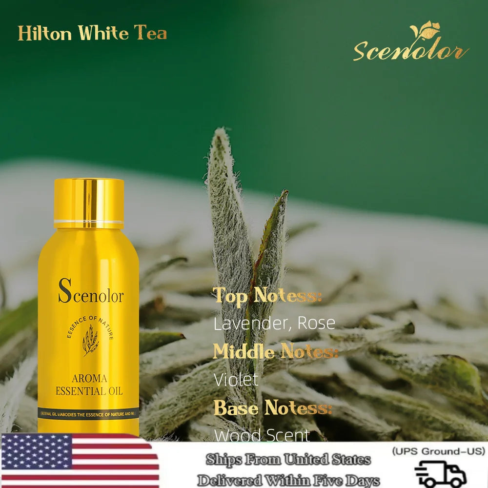 5 Star Hotel Aroma Diffuser