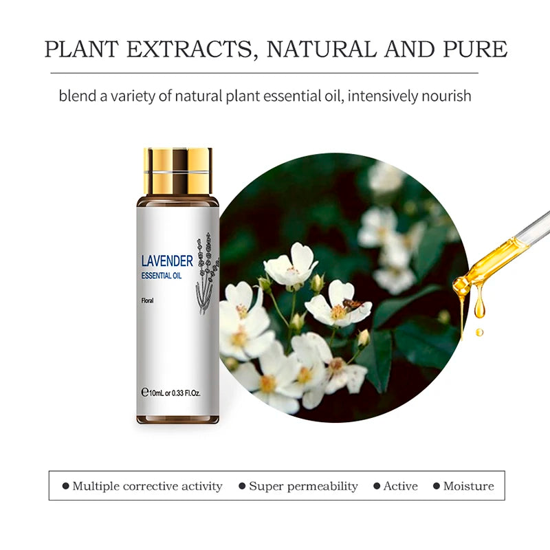 16pc Essential Oils Set