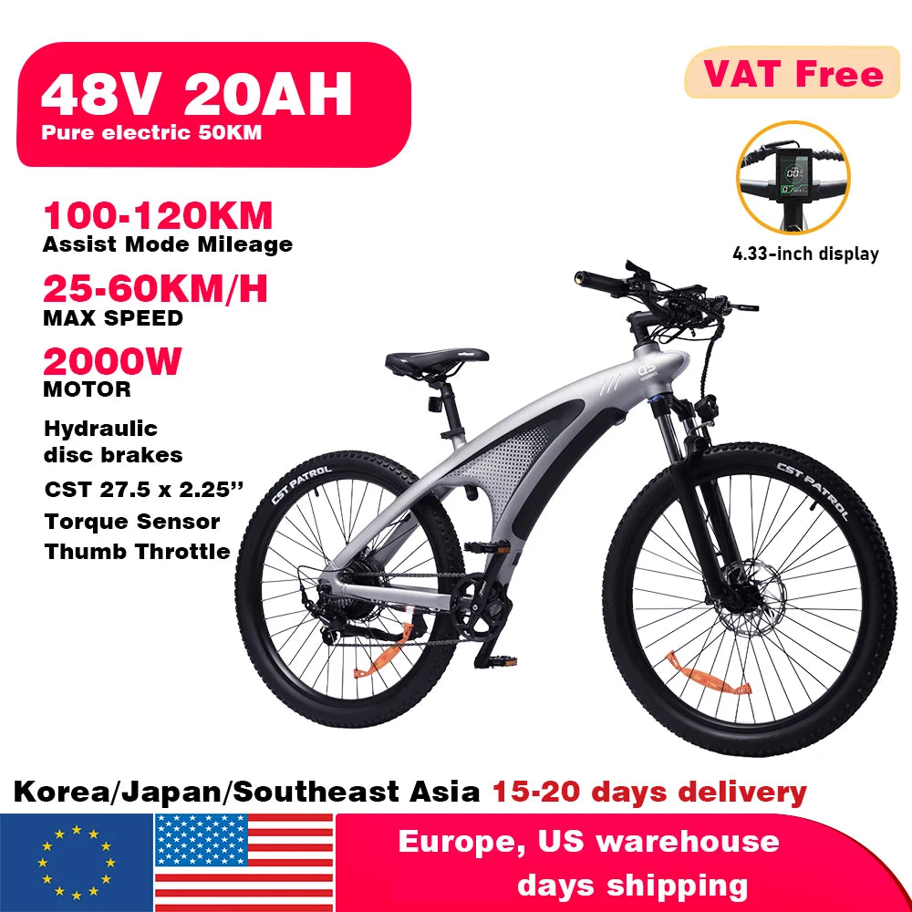 2000W Adults Electric Bicycle