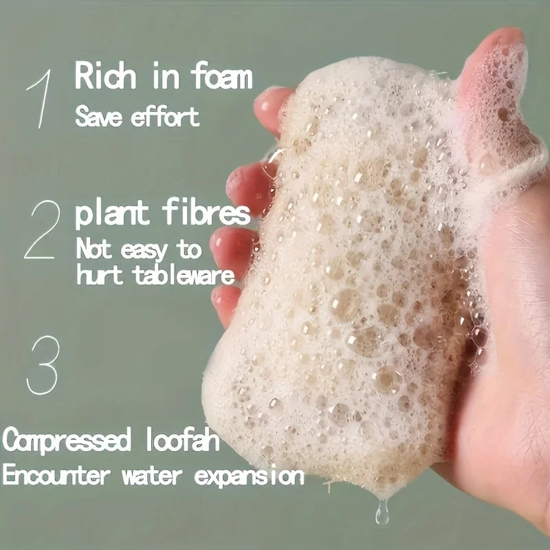 Natural Loofah Sponges