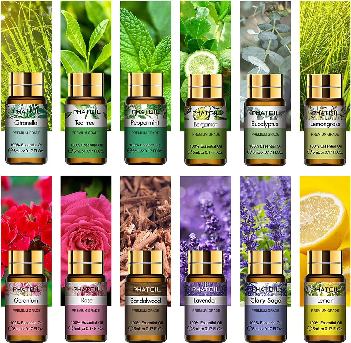 12 Pack Pure Essential Oils Gift Box