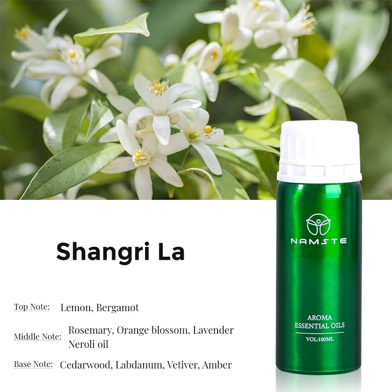 Electric Aromatic Diffuser