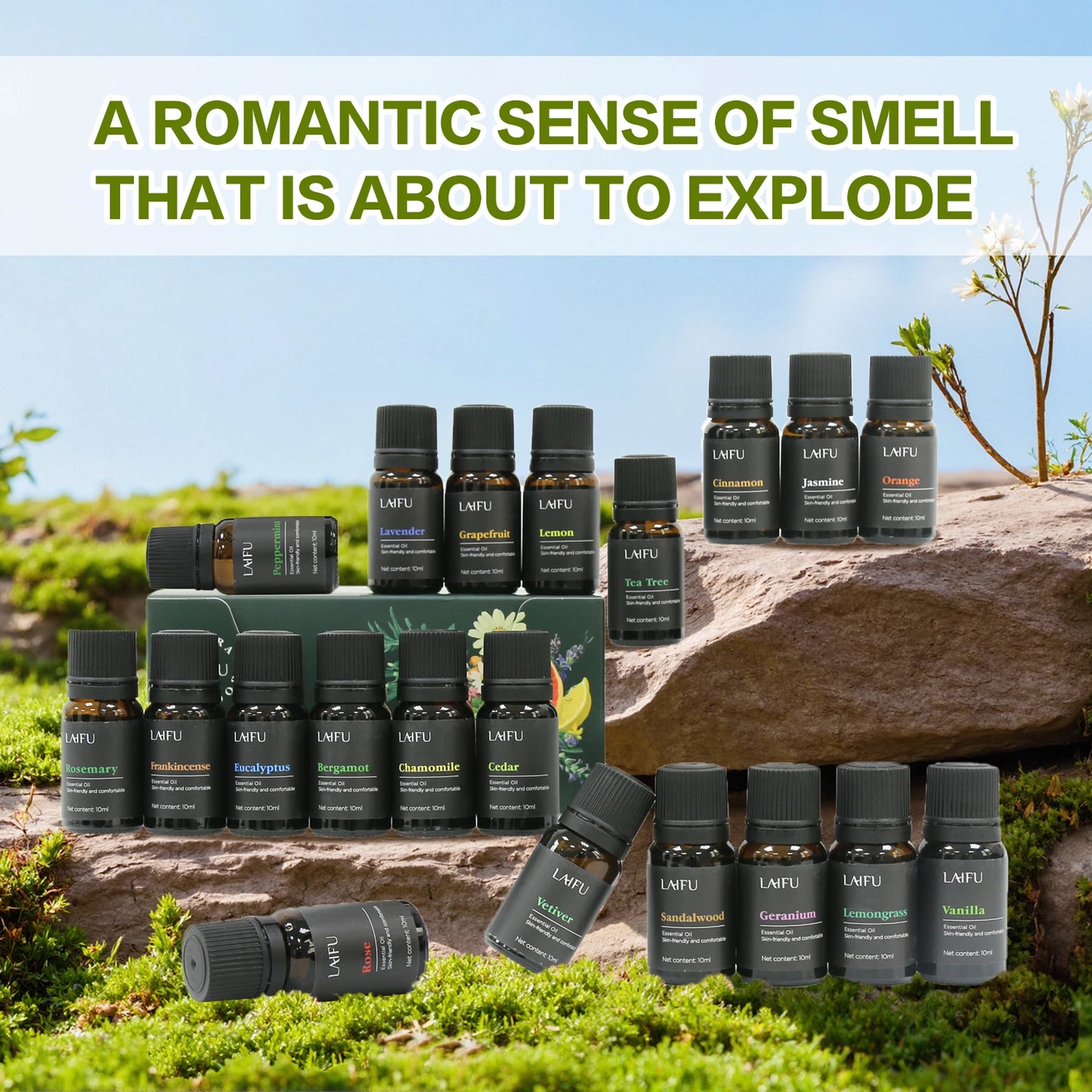 Aromatherapy Essential Oil Set