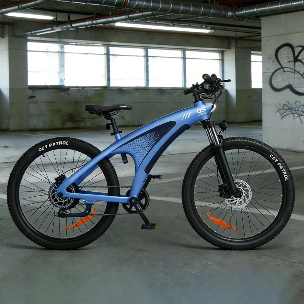 2000W Adults Electric Bicycle