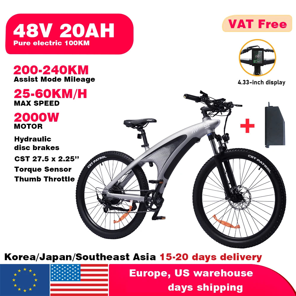 2000W Adults Electric Bicycle